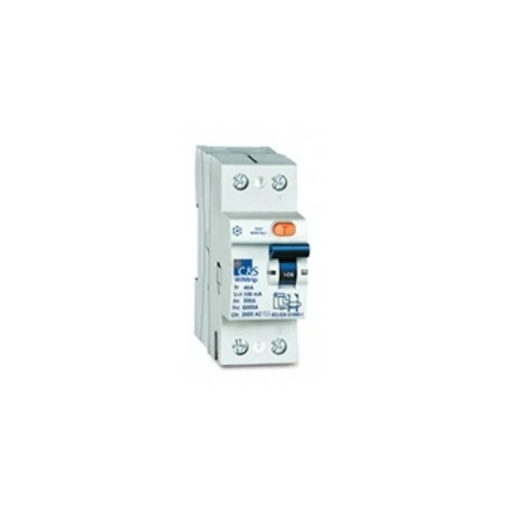 C&S Residual Current Circuit Breaker 2 Pole 300mA