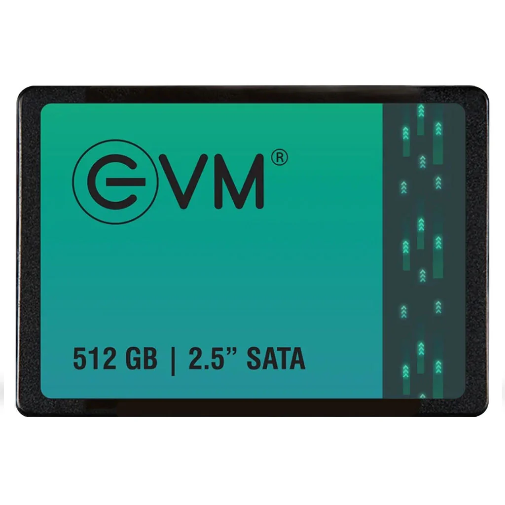 EVM 512 GB SATA SSD 2.5 Inch
