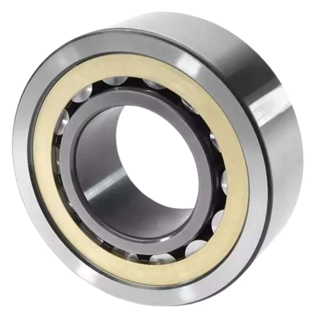 Fag Cylindrical Roller Bearing 95x170x32mm