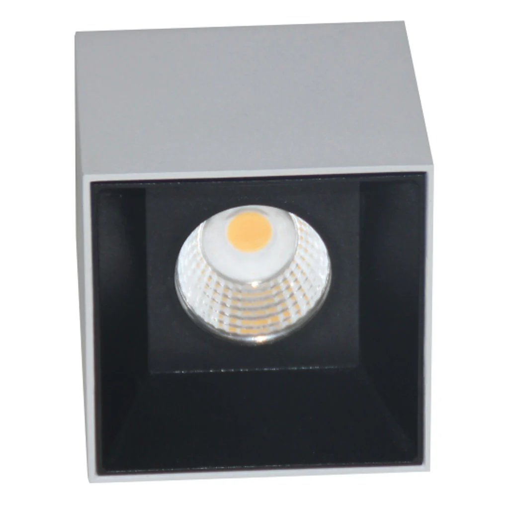 Ledlum LED Indoor Surface COB Down Light LLS-095