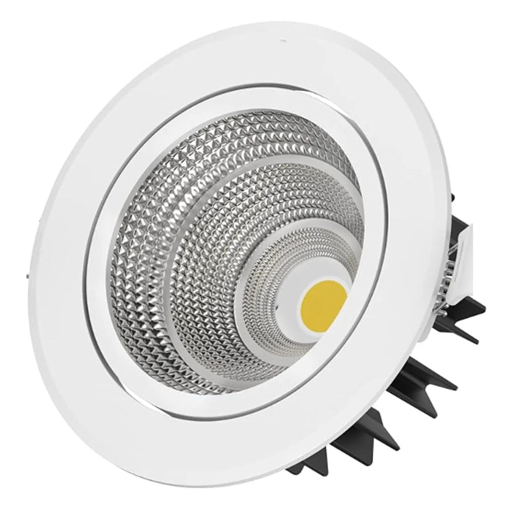 Norwood Aero+ Moveable COB Down Light 6 W Warm White NAO-3110