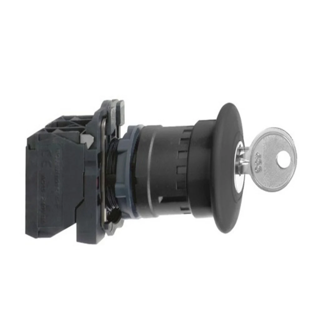 Schneider Harmony XB5 Non-Illuminated Pushbutton 30